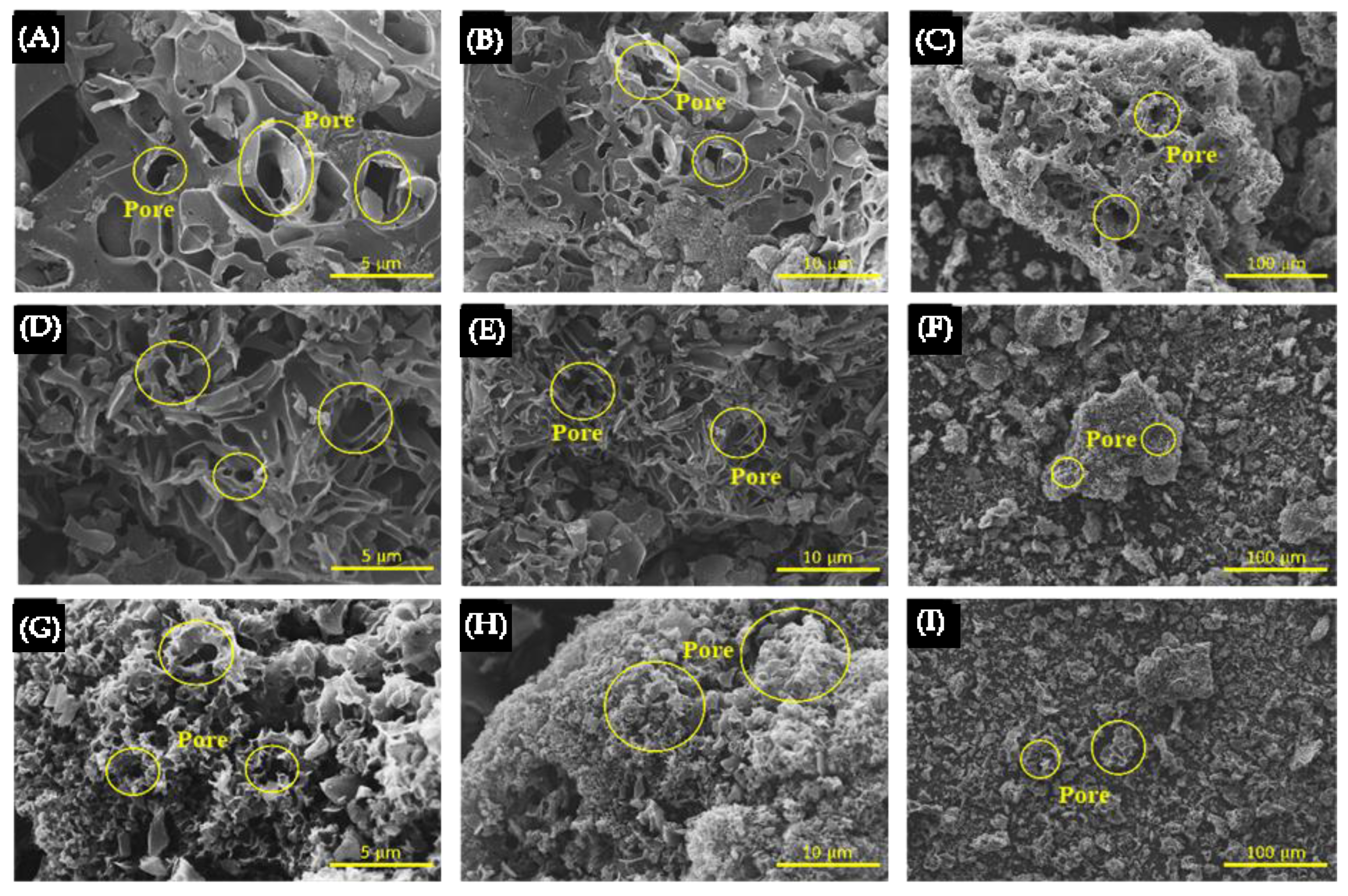 Polymers 17 01752 g007