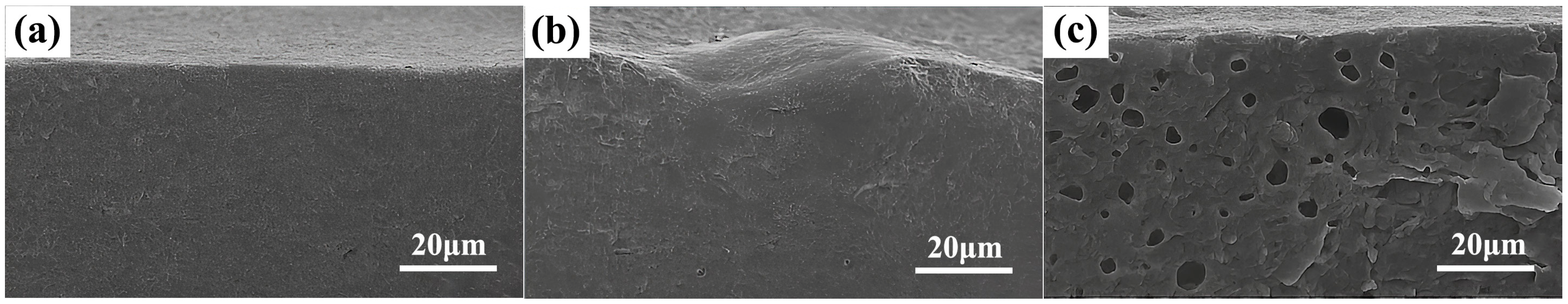 Polymers 17 01757 g004