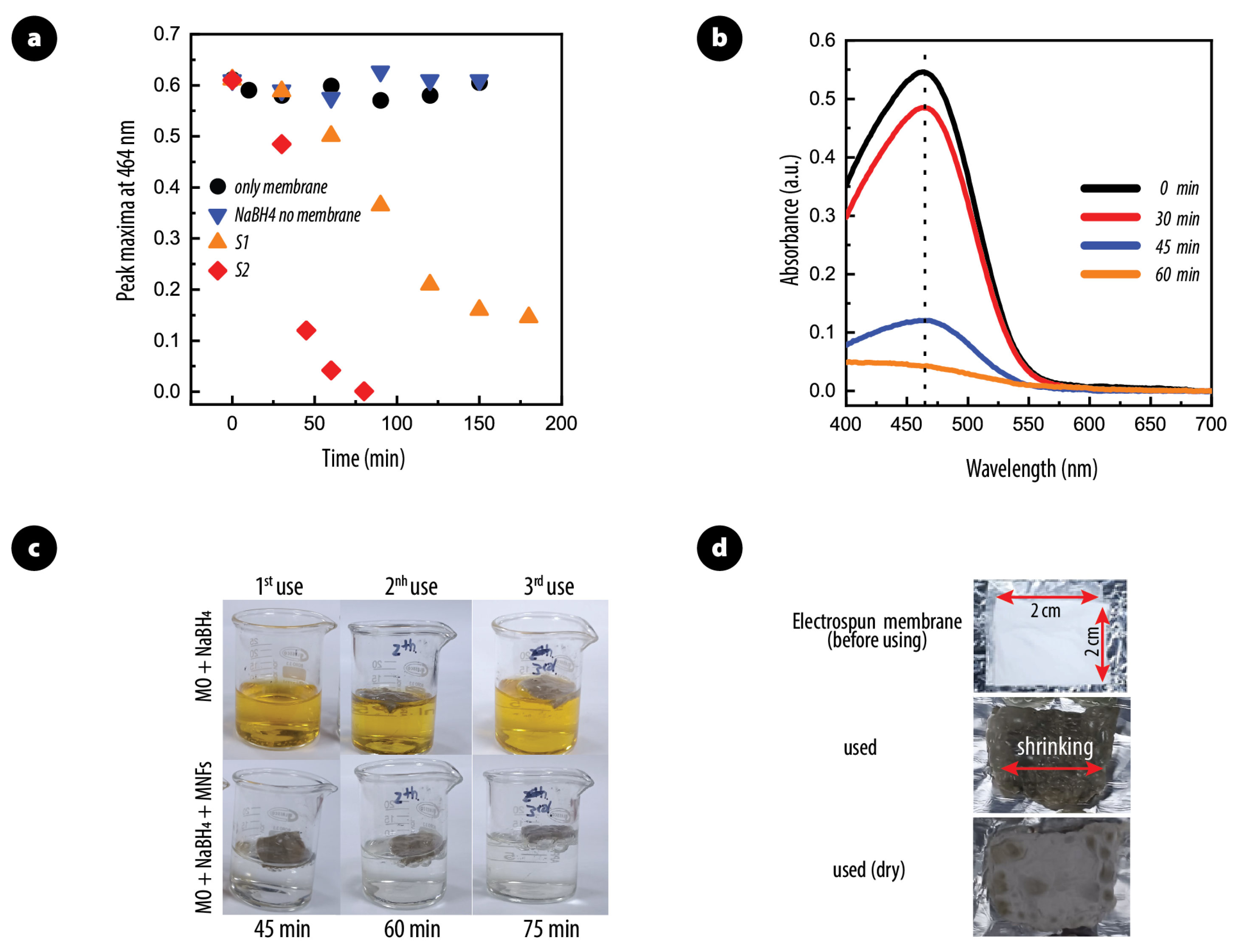 Polymers 17 01762 g004