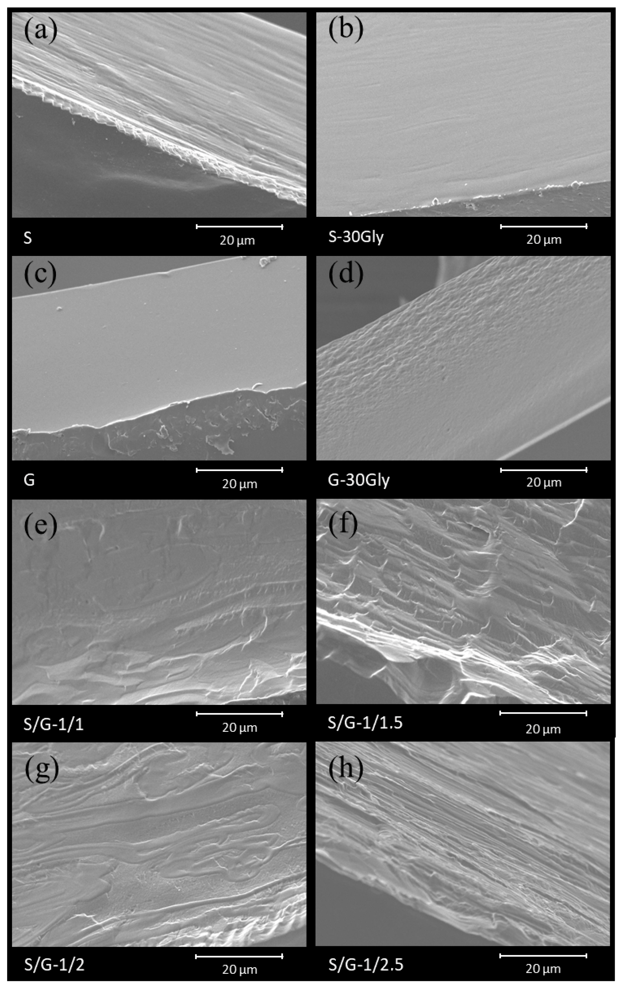 Polymers 17 01763 g002