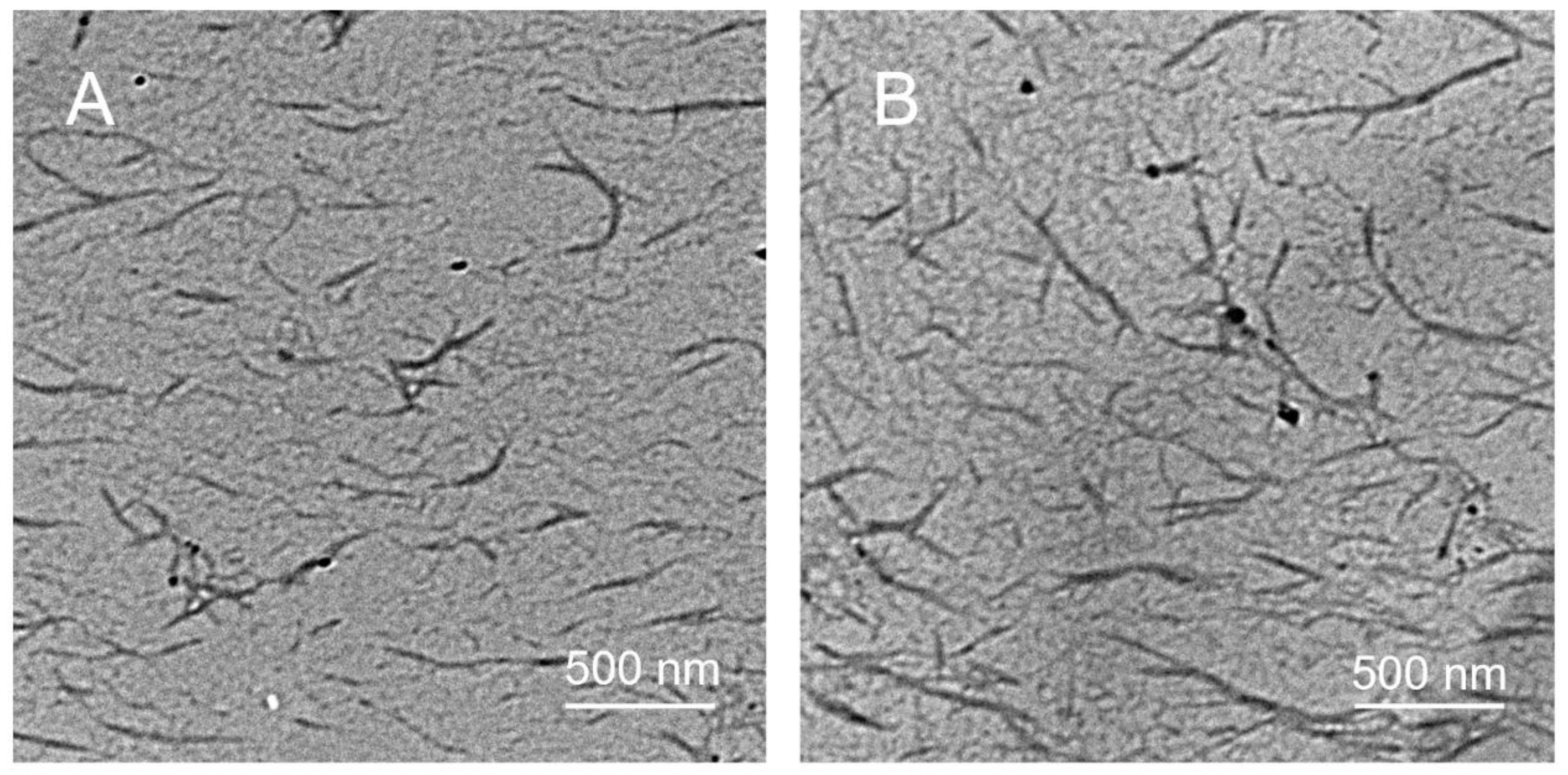 Polymers 17 01764 g004