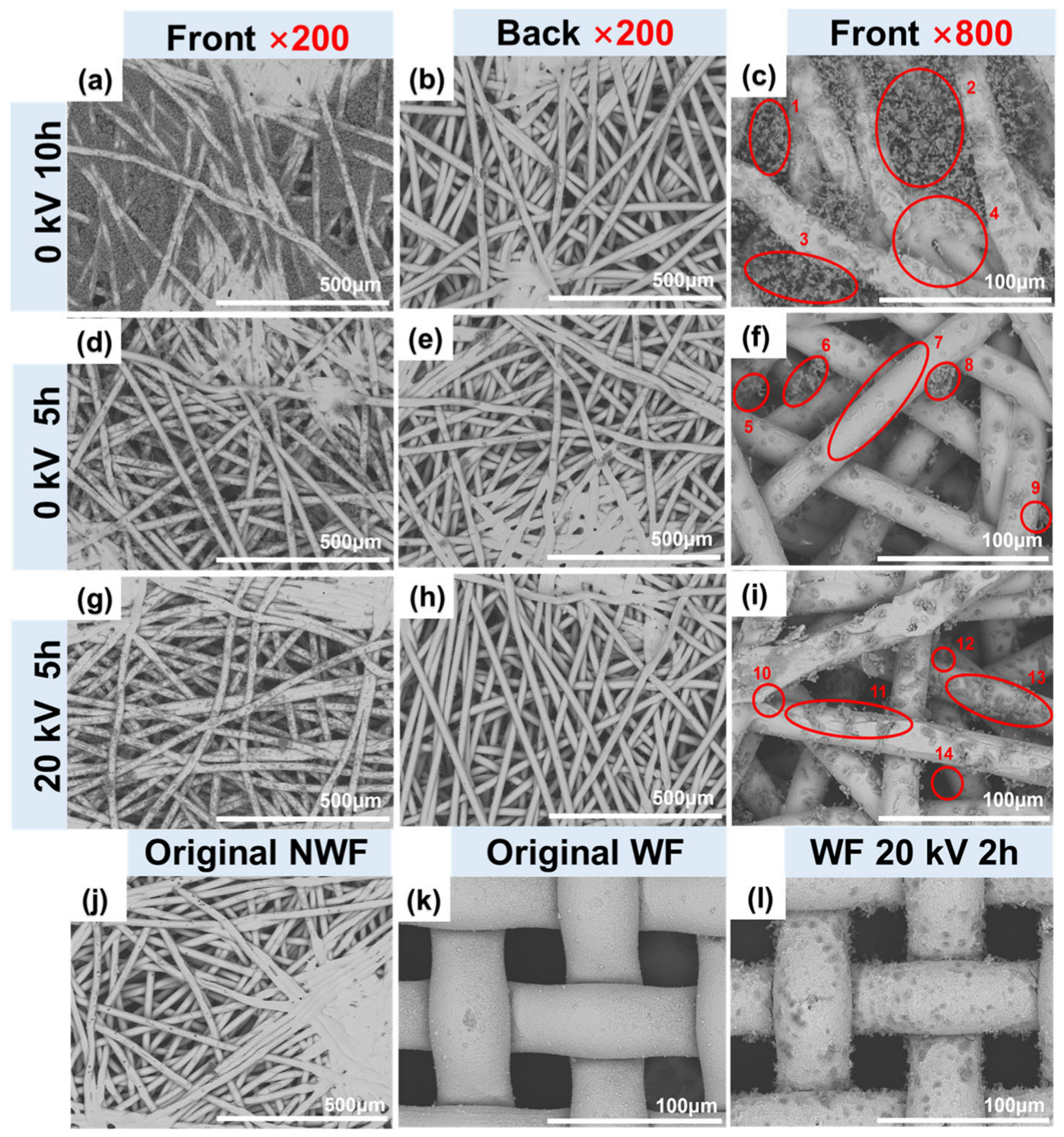 Polymers 17 01765 g007