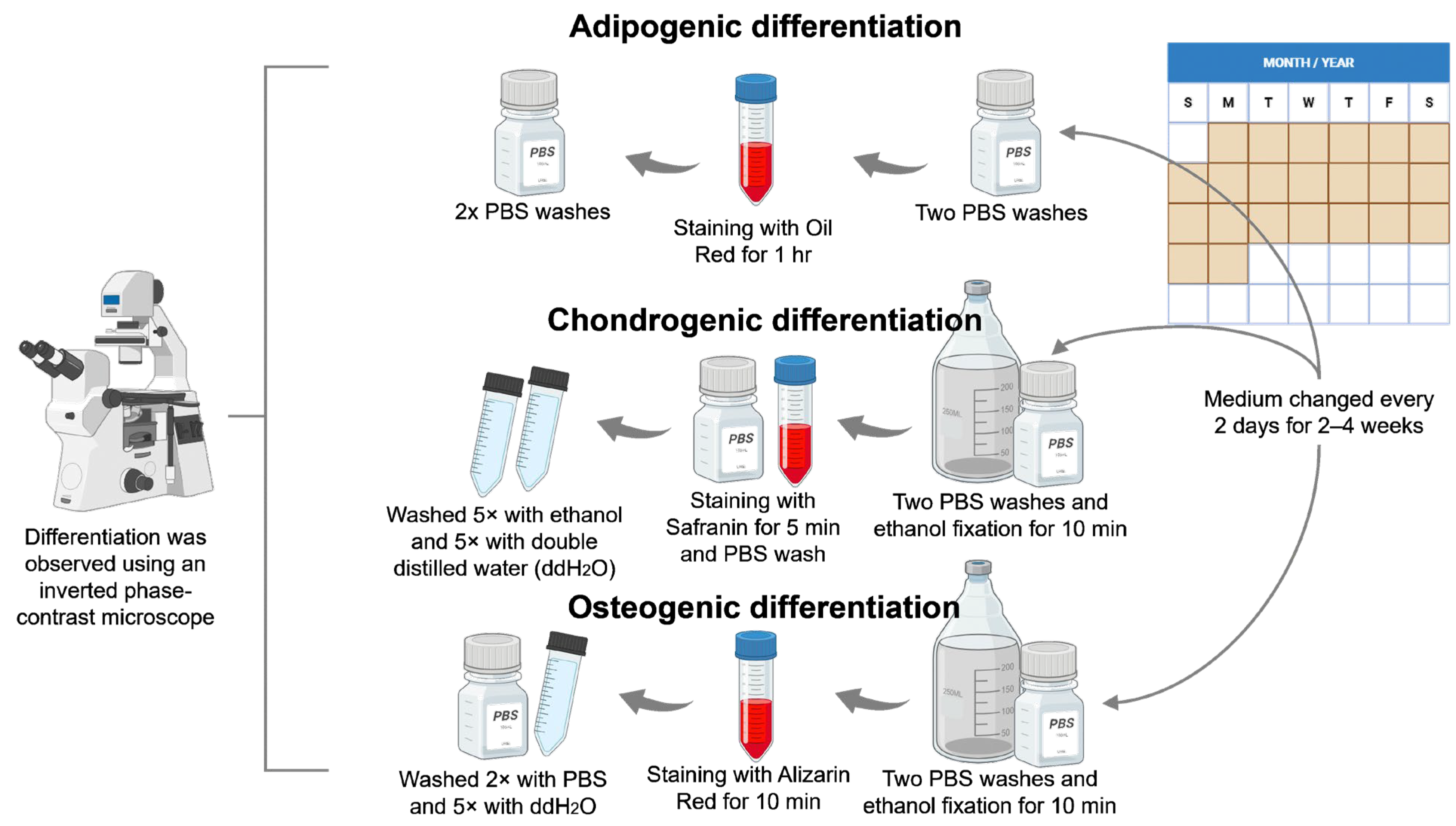 Polymers 17 01768 g002