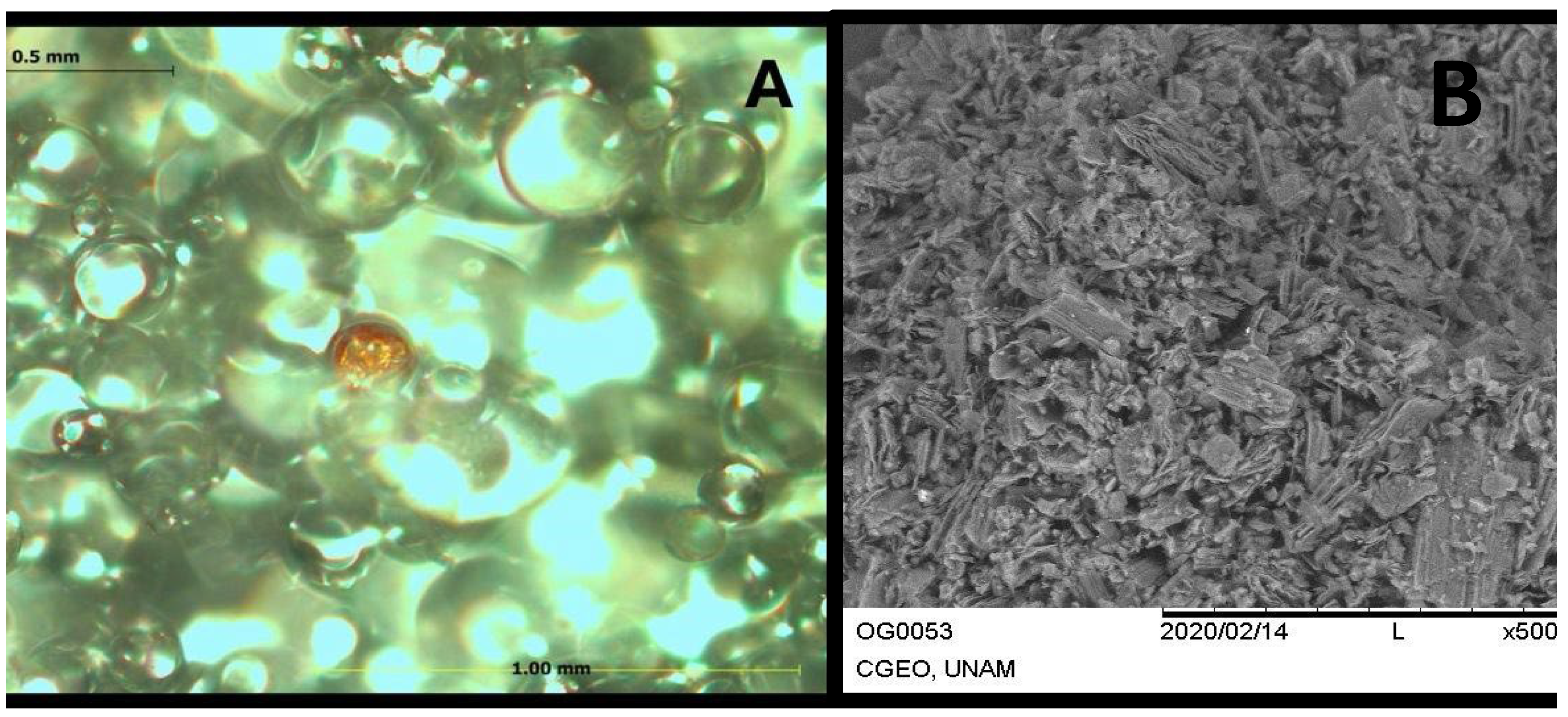 Polymers 17 01768 g003