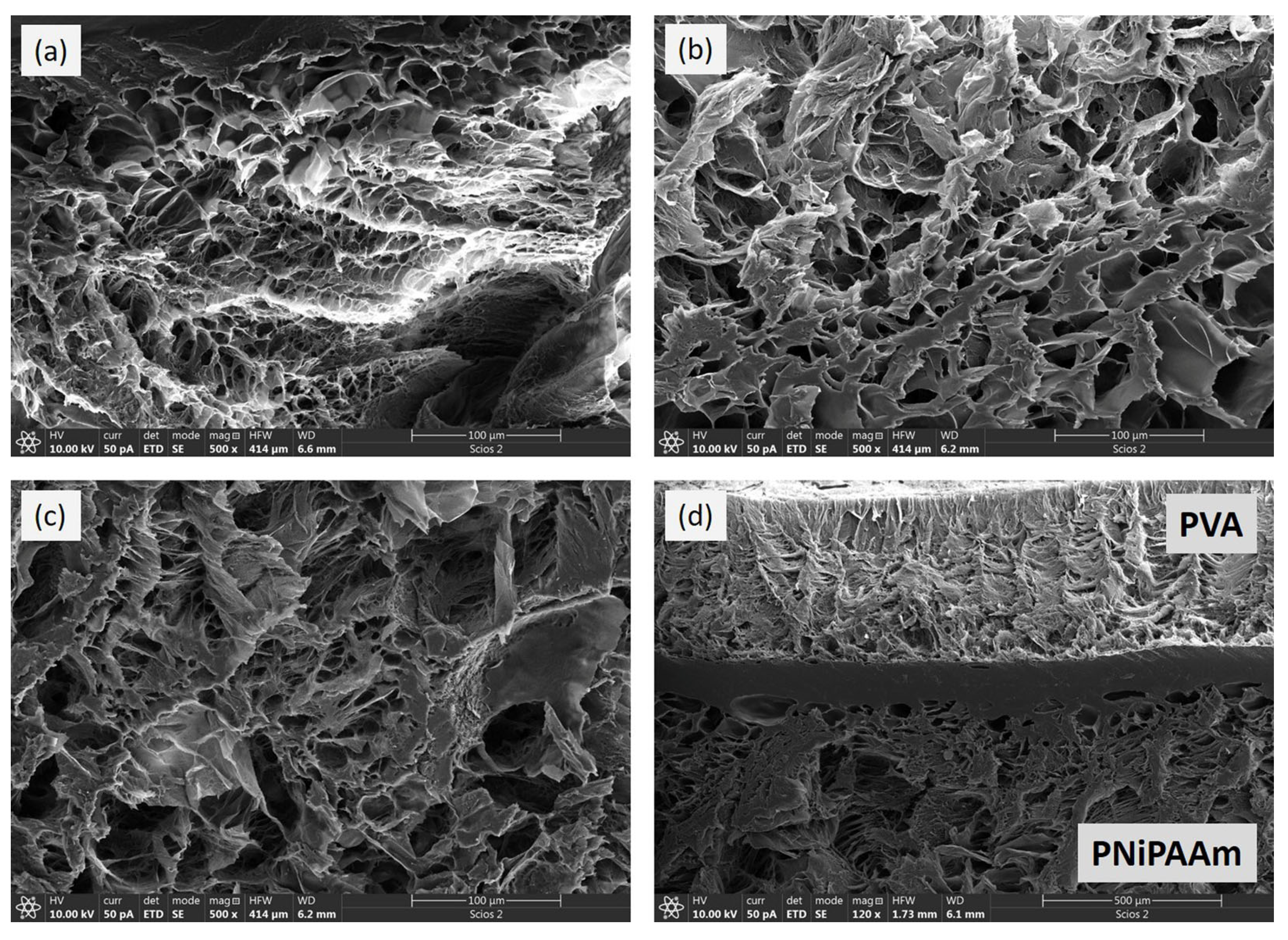 Polymers 17 01774 g004
