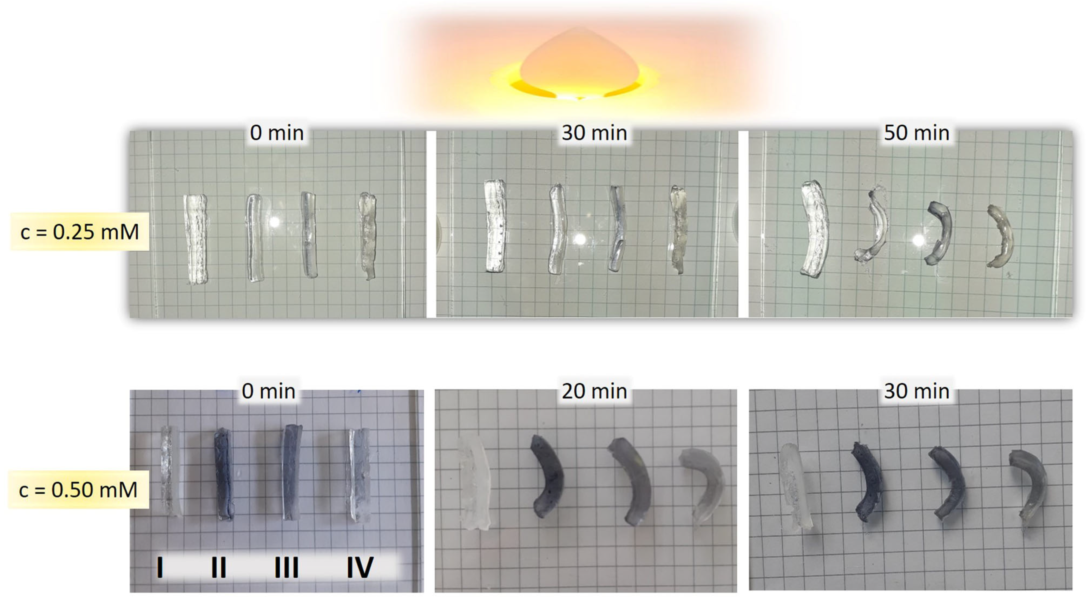 Polymers 17 01774 g012