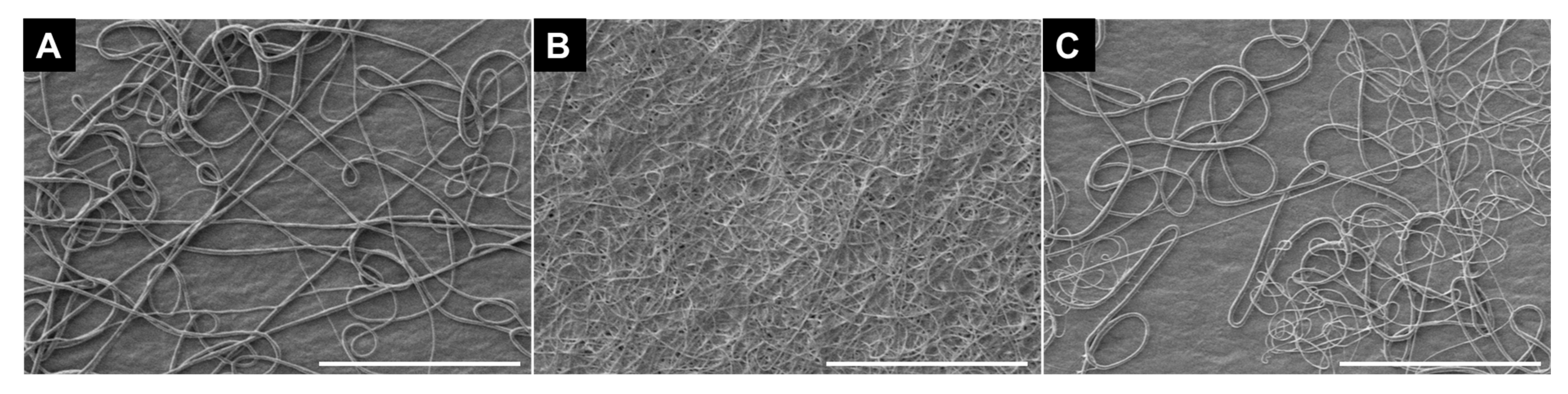 Polymers 17 01777 g001