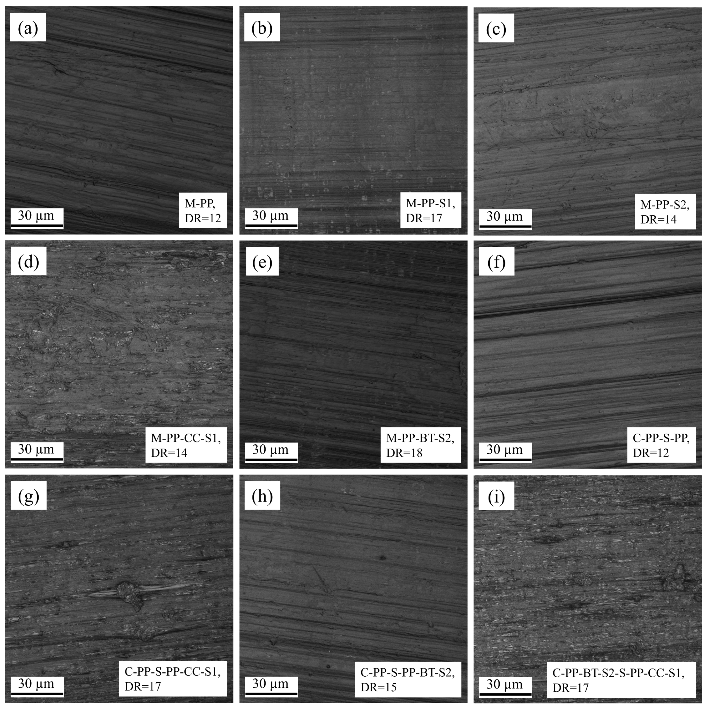 Polymers 17 01781 g009