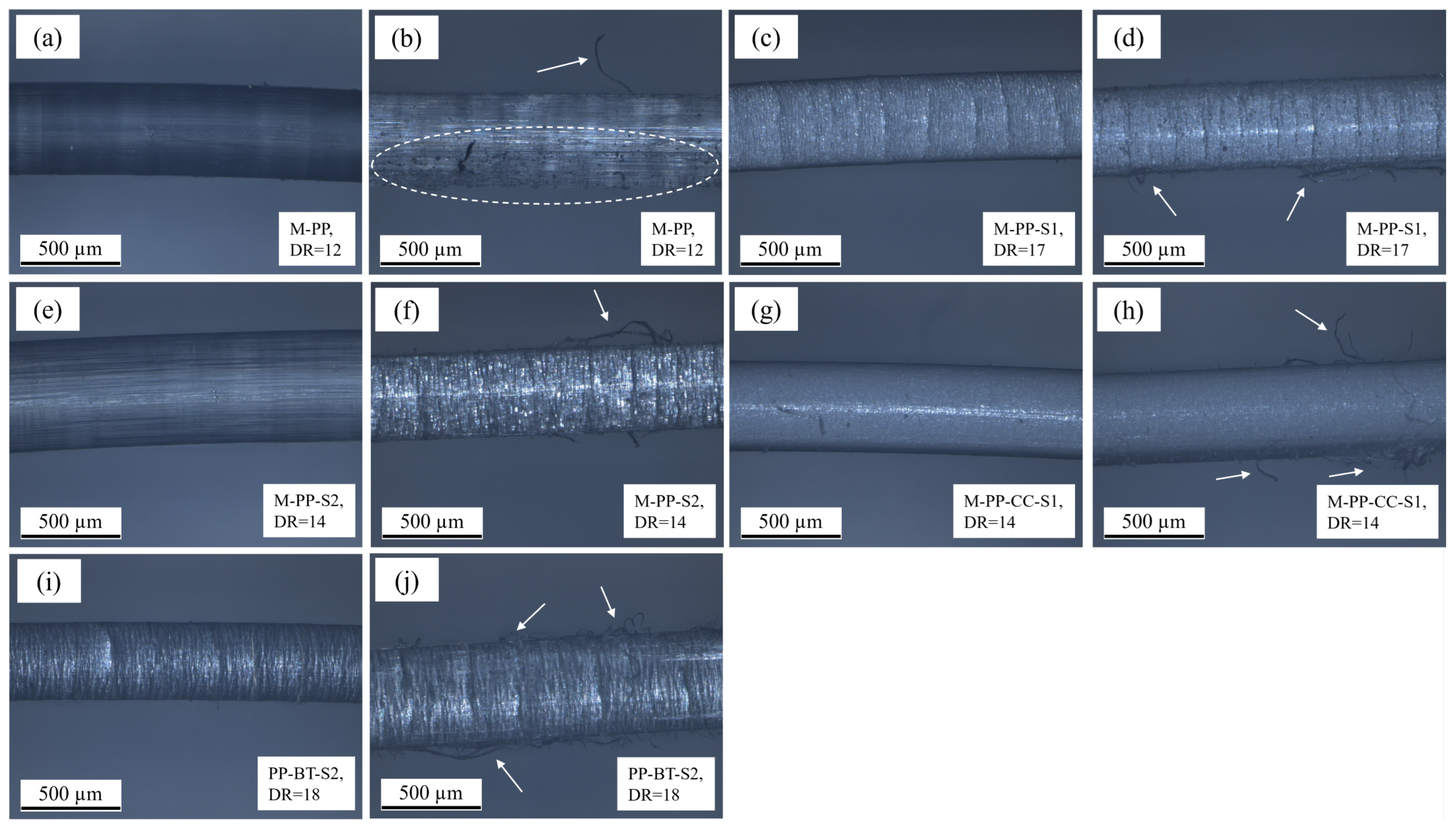 Polymers 17 01781 g011