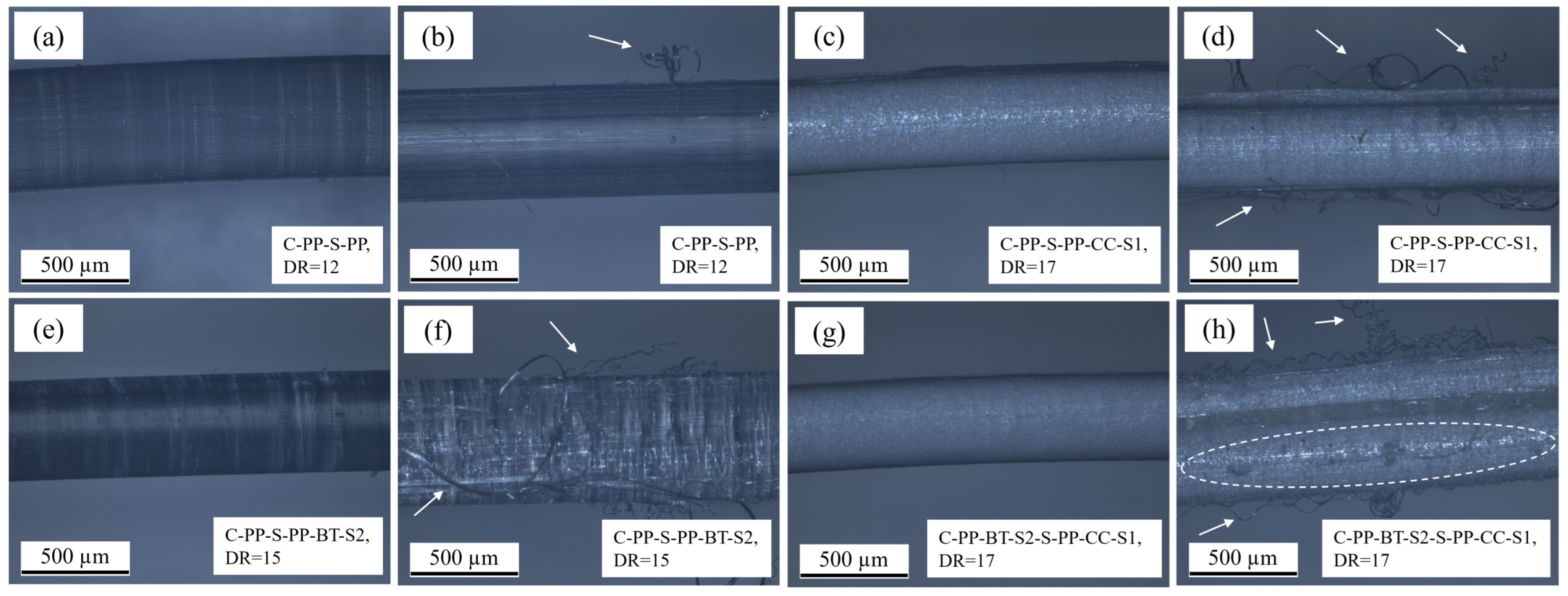 Polymers 17 01781 g012