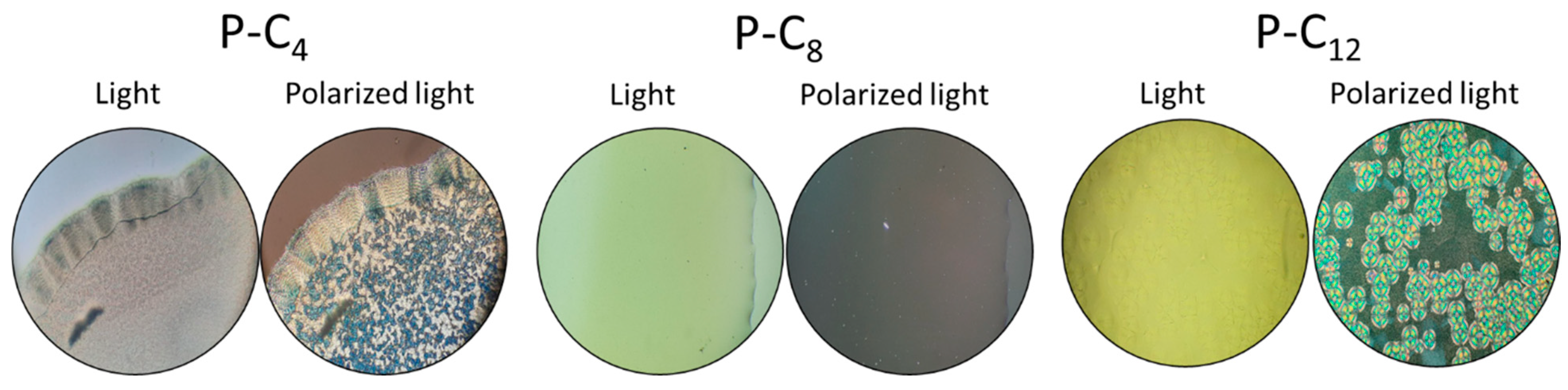 Polymers 17 01782 g006