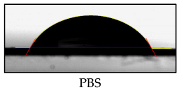 Polymers 17 01784 i001