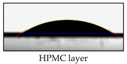 Polymers 17 01784 i002