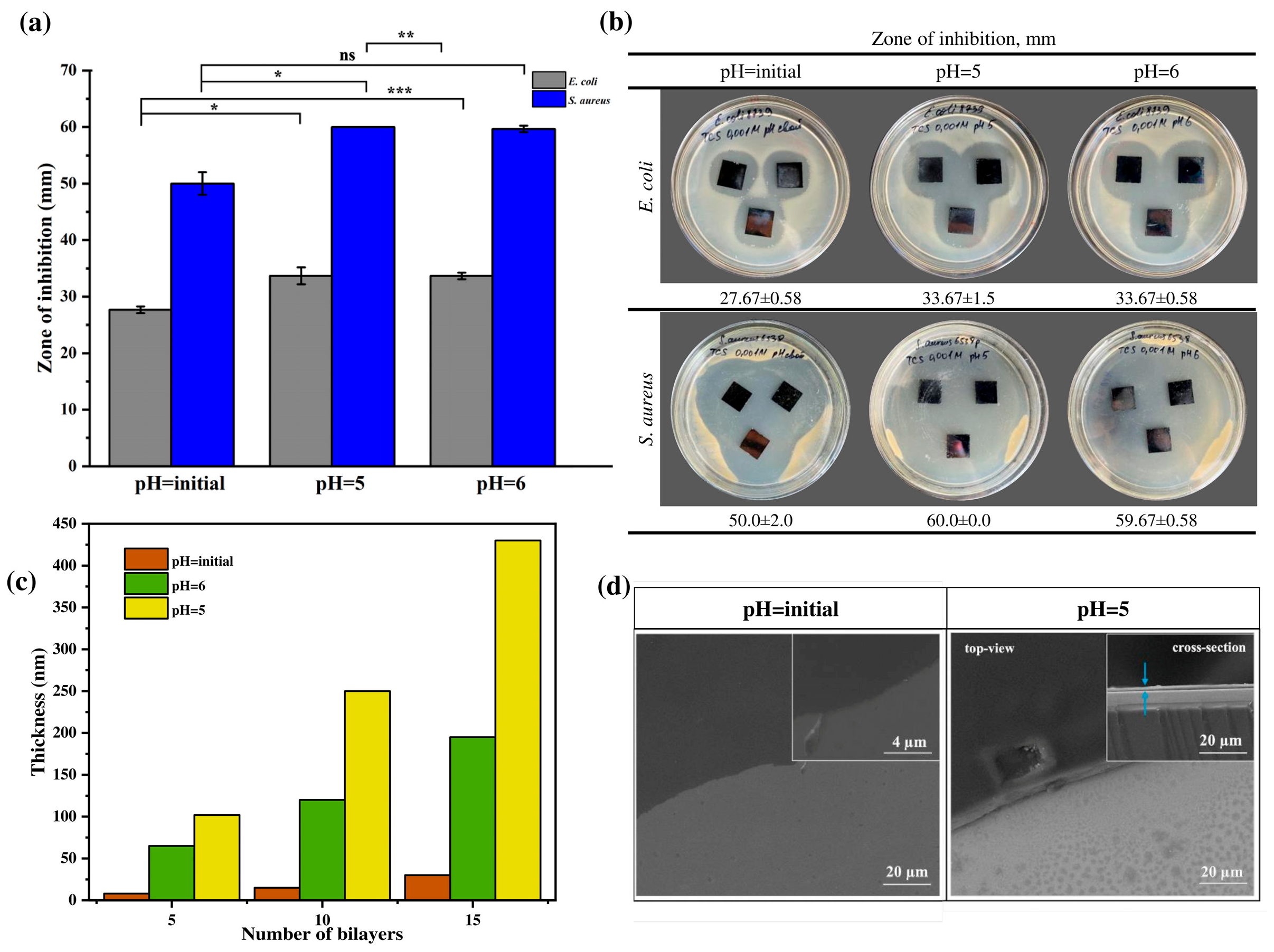 Polymers 17 01789 g004