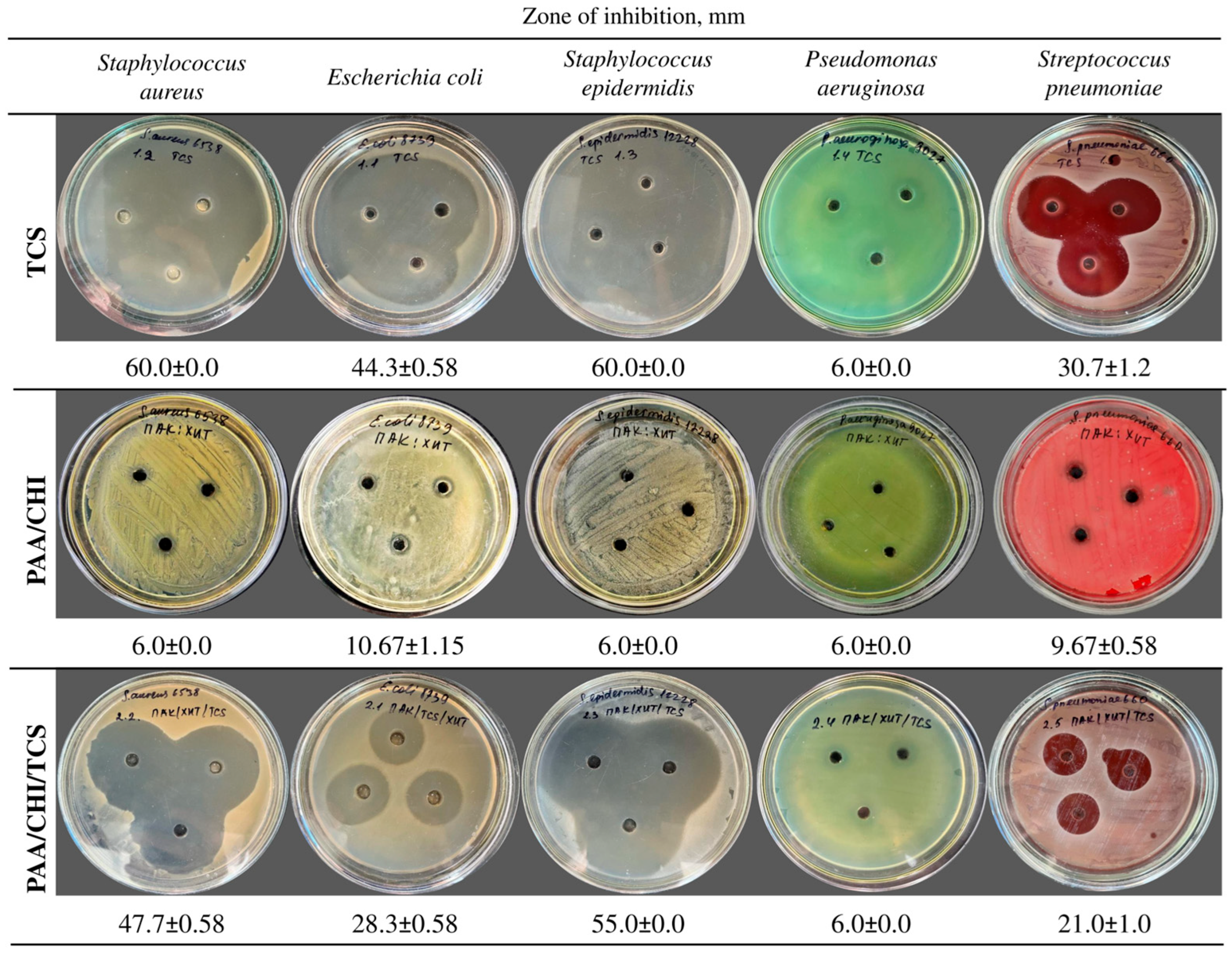 Polymers 17 01789 g005
