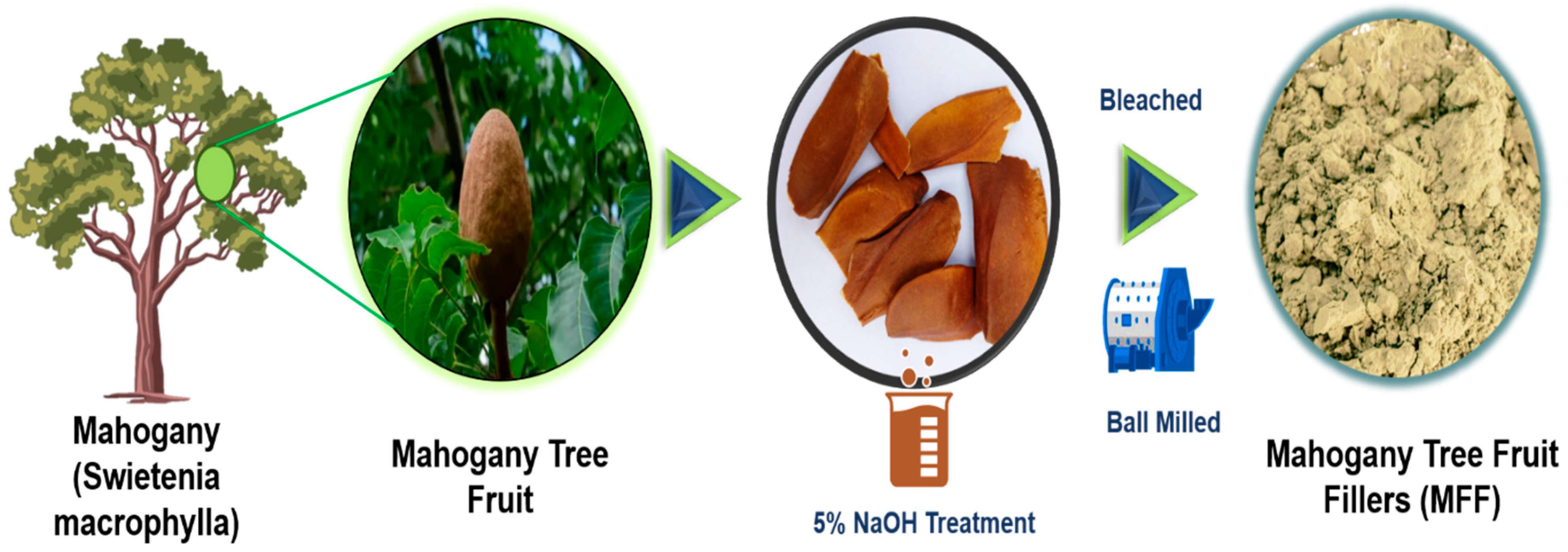 Polymers 17 01790 g001