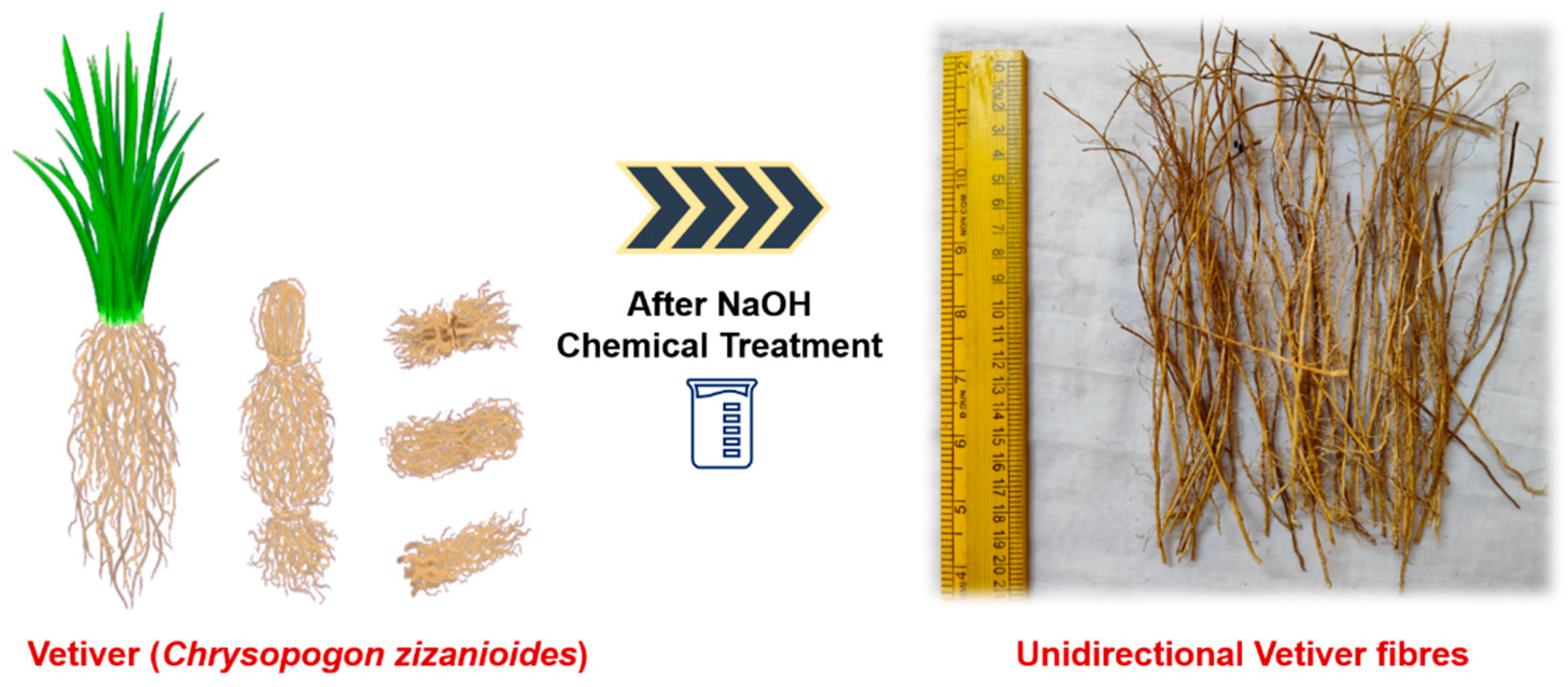 Polymers 17 01790 g005