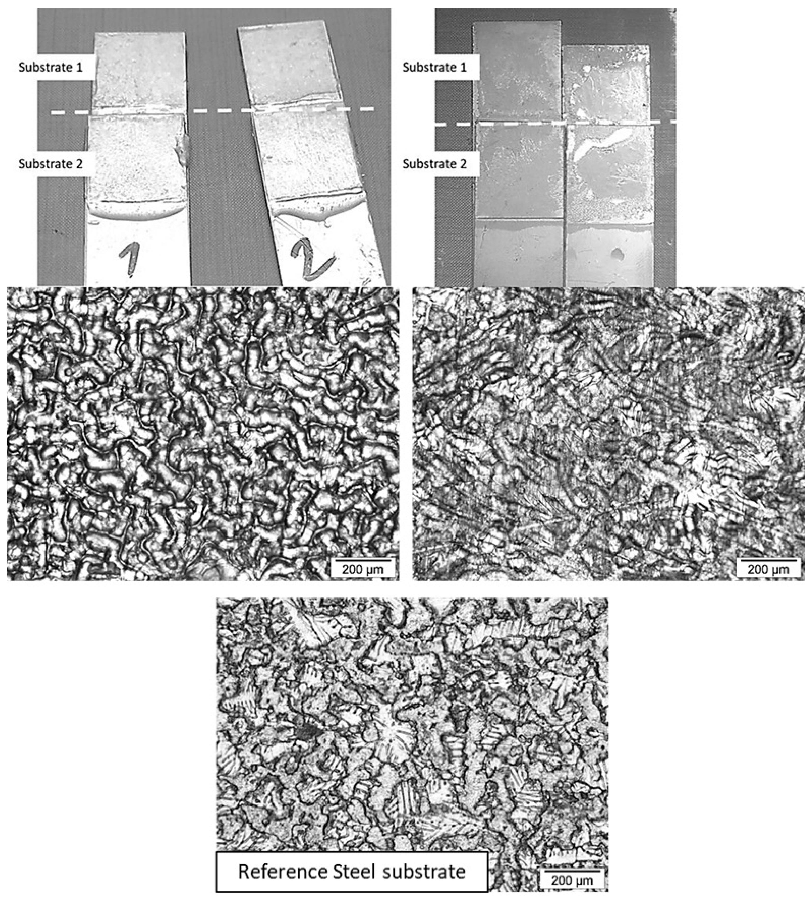 Polymers 17 01796 g008