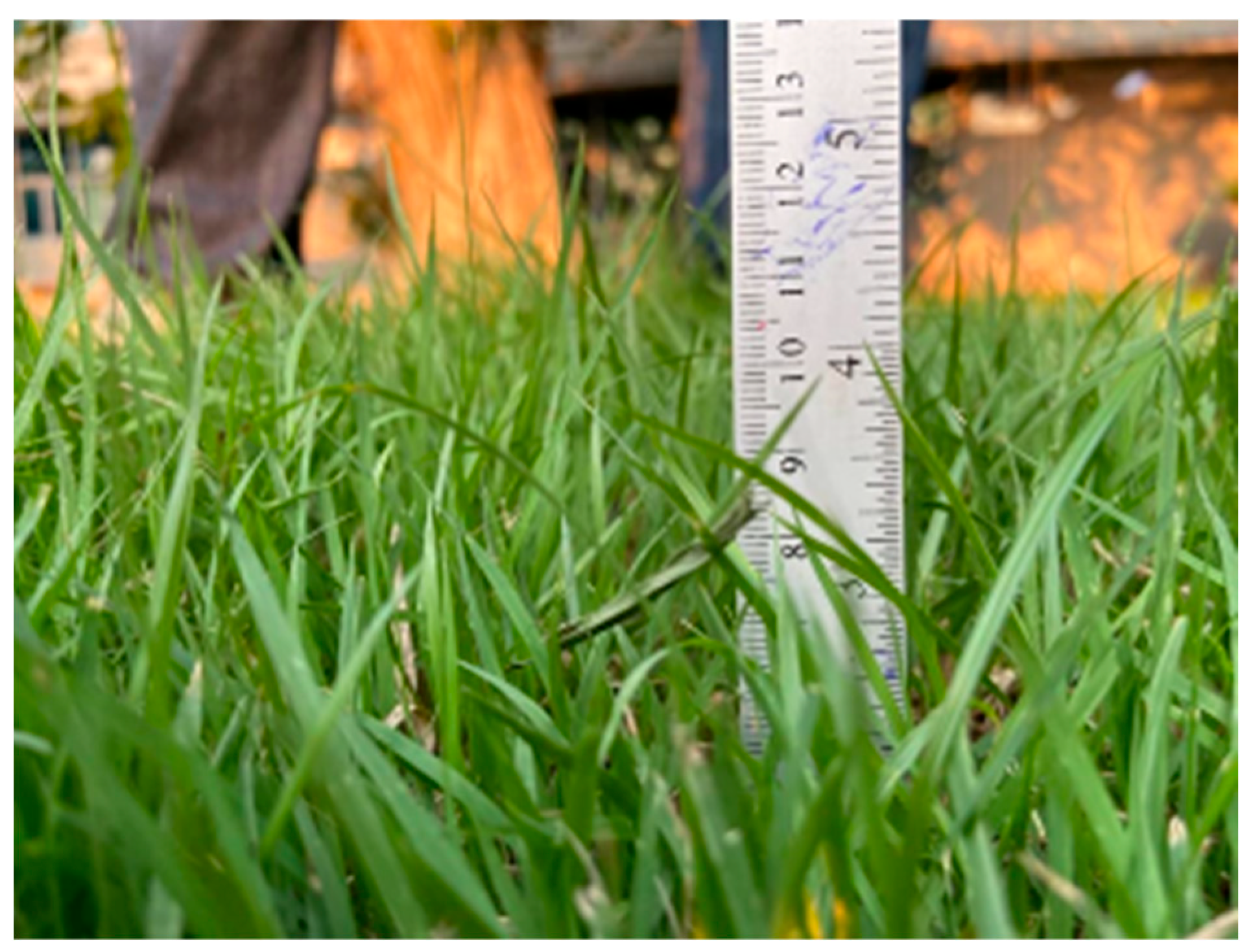 Polymers 17 01804 g005