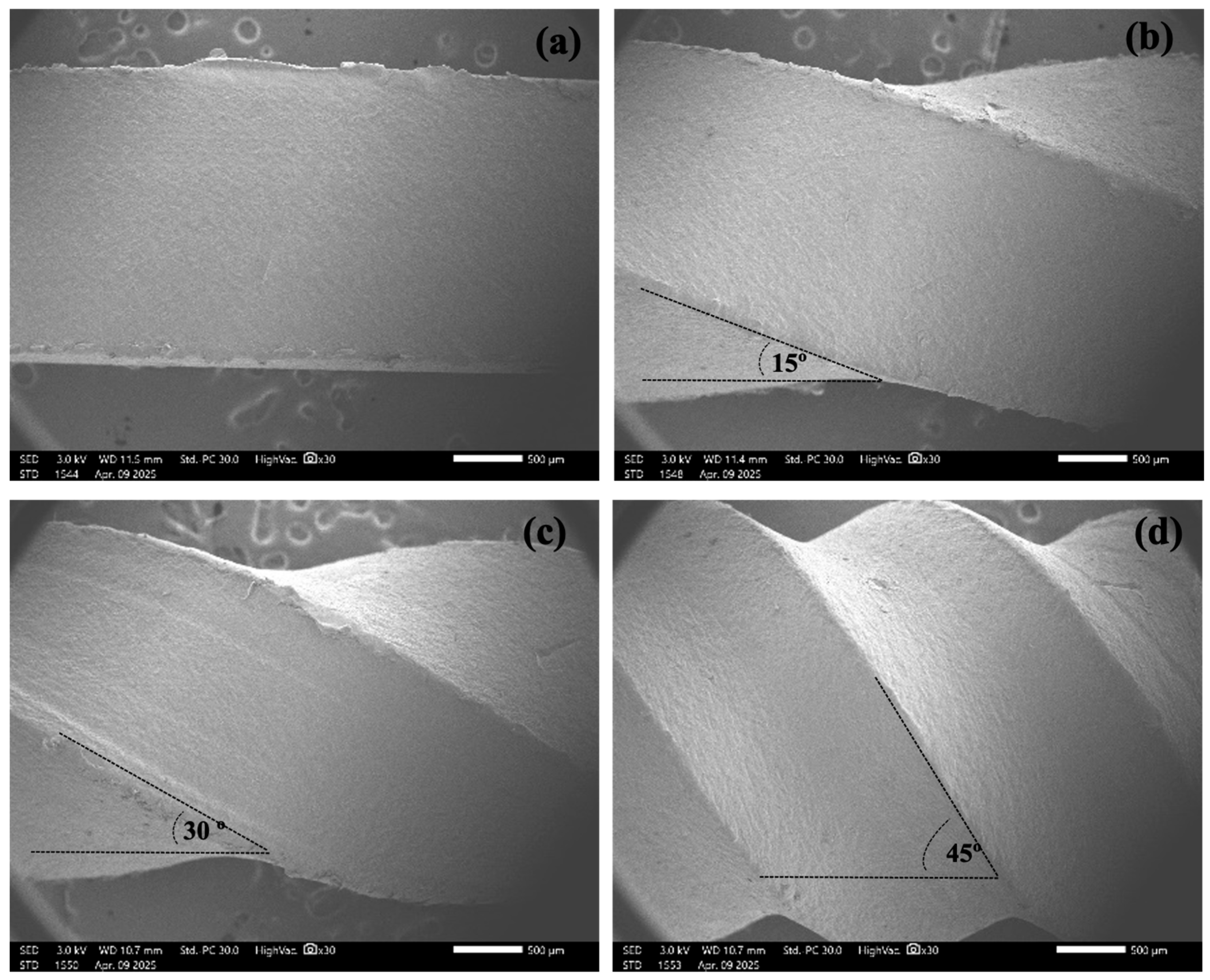 Polymers 17 01804 g007