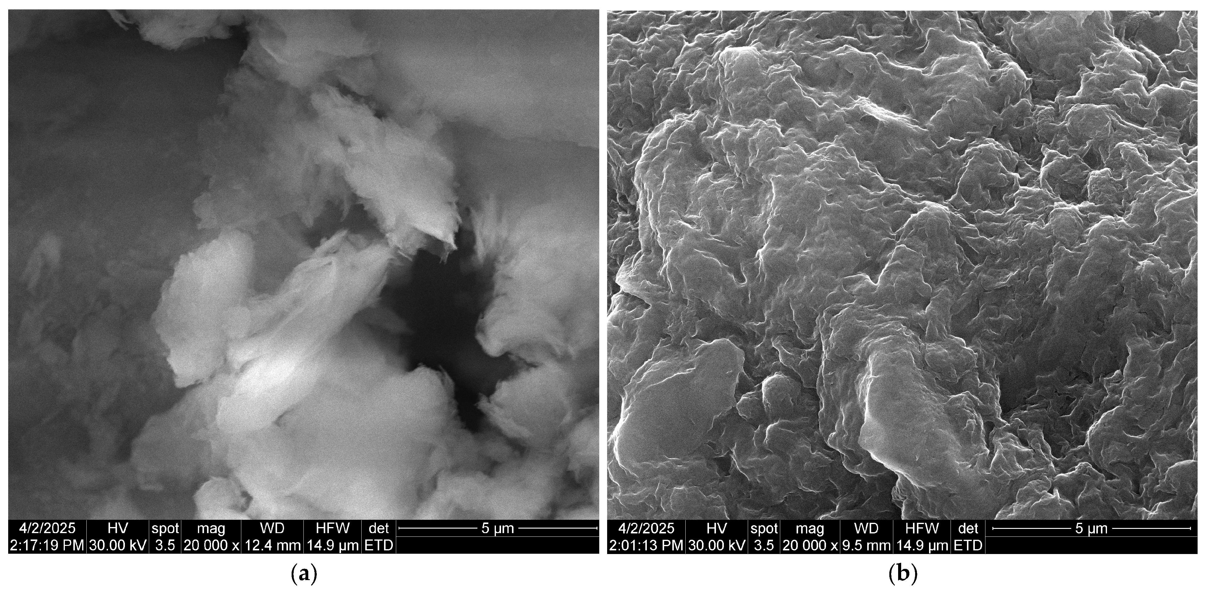 Polymers 17 01805 g004