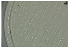 Polymers 17 01806 i007