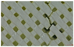 Polymers 17 01806 i010