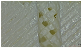 Polymers 17 01806 i013