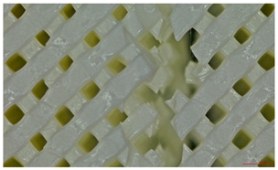 Polymers 17 01806 i016