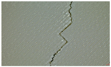 Polymers 17 01806 i017