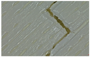 Polymers 17 01806 i018