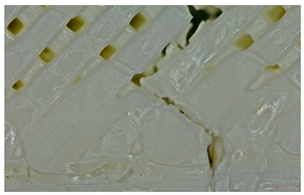 Polymers 17 01806 i019