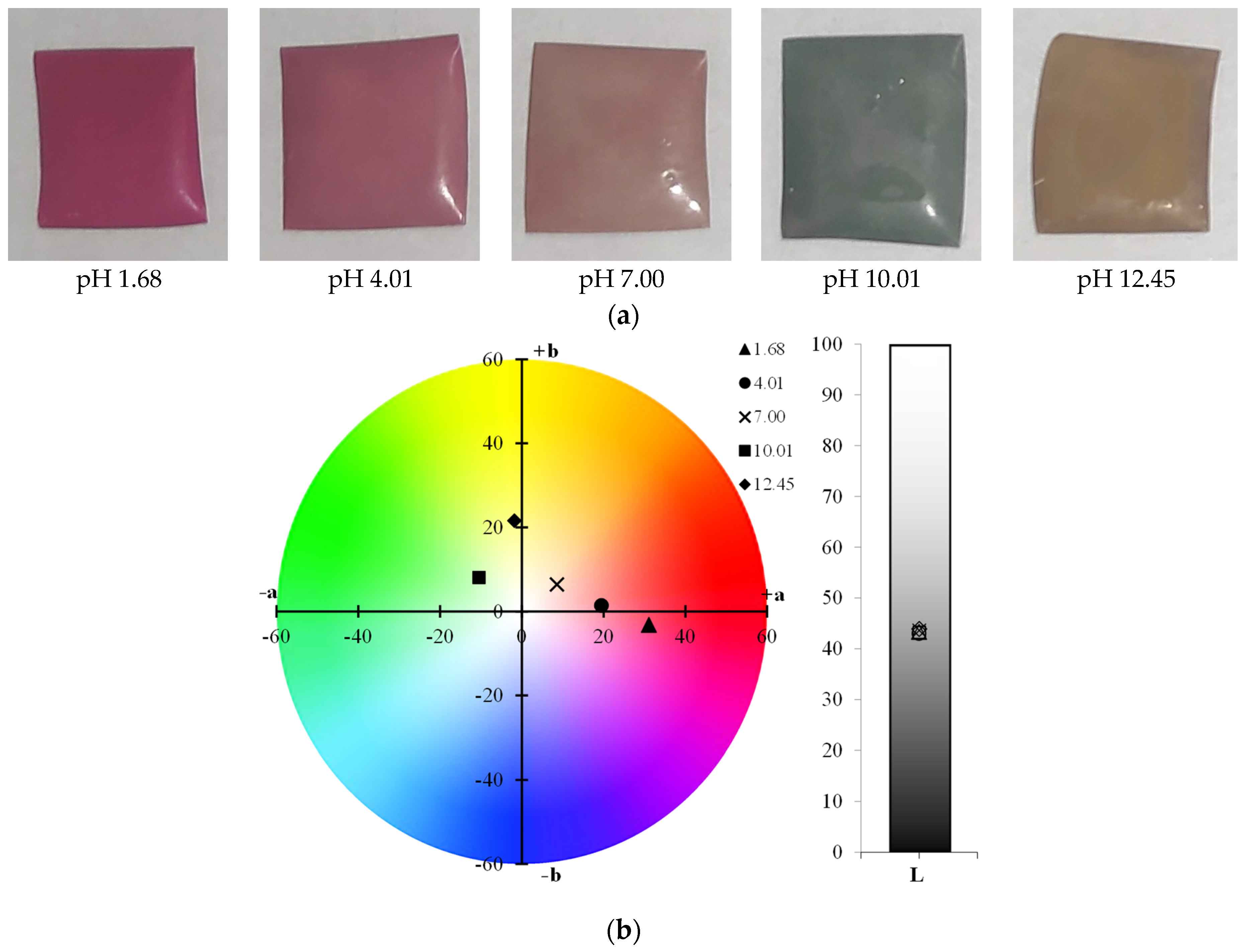Polymers 17 01813 g001