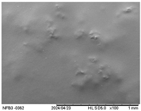 Polymers 17 01813 i002