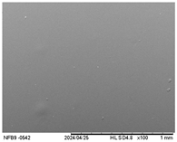 Polymers 17 01813 i005