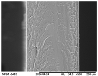Polymers 17 01813 i006