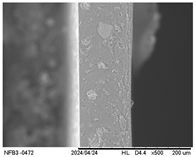 Polymers 17 01813 i007