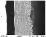 Polymers 17 01813 i009
