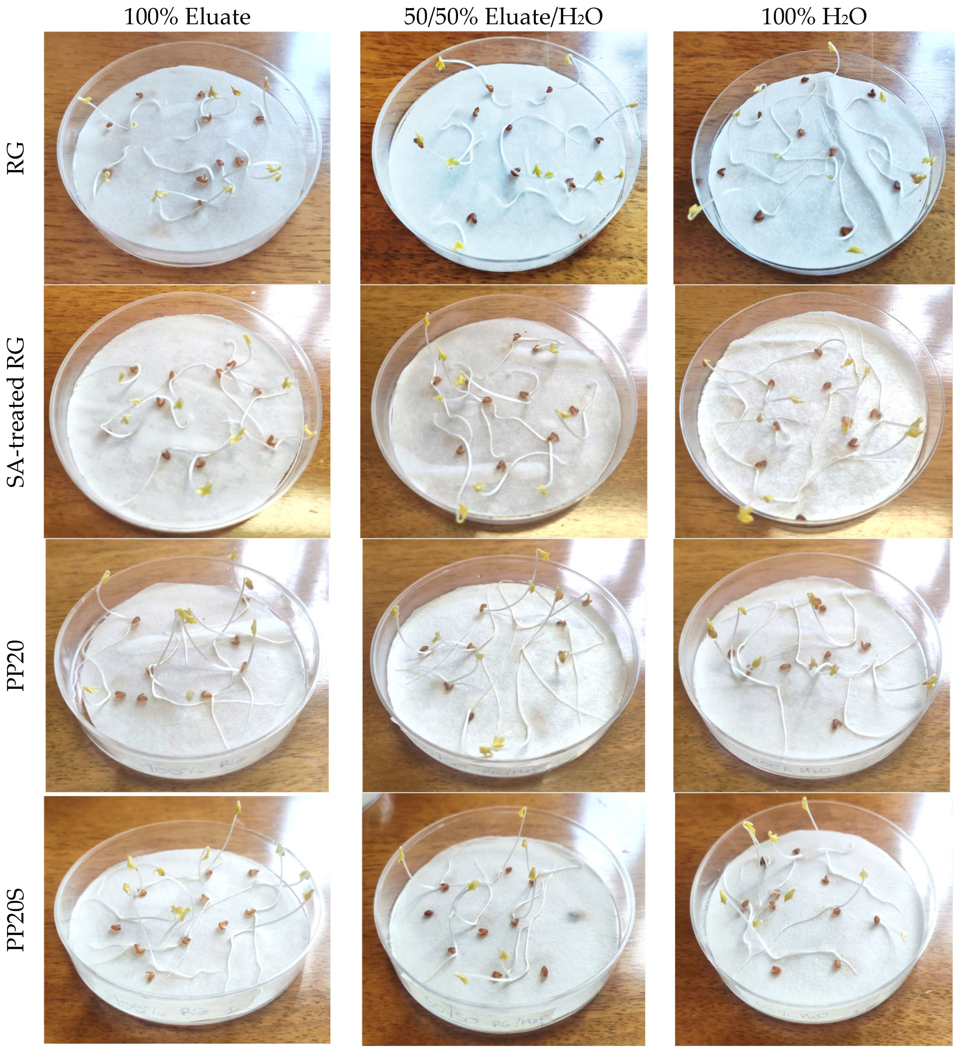 Polymers 17 01821 g009