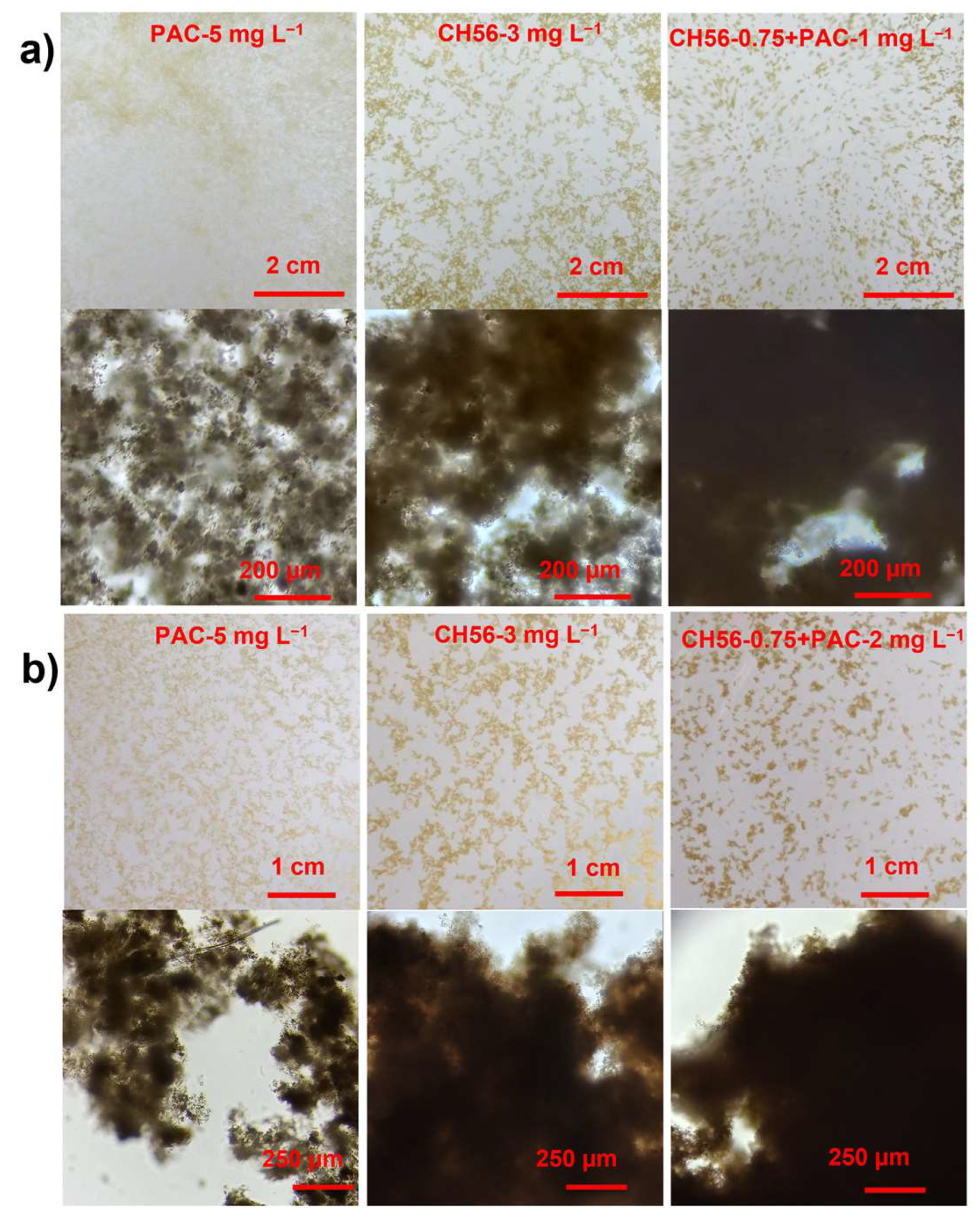 Polymers 17 01822 g005