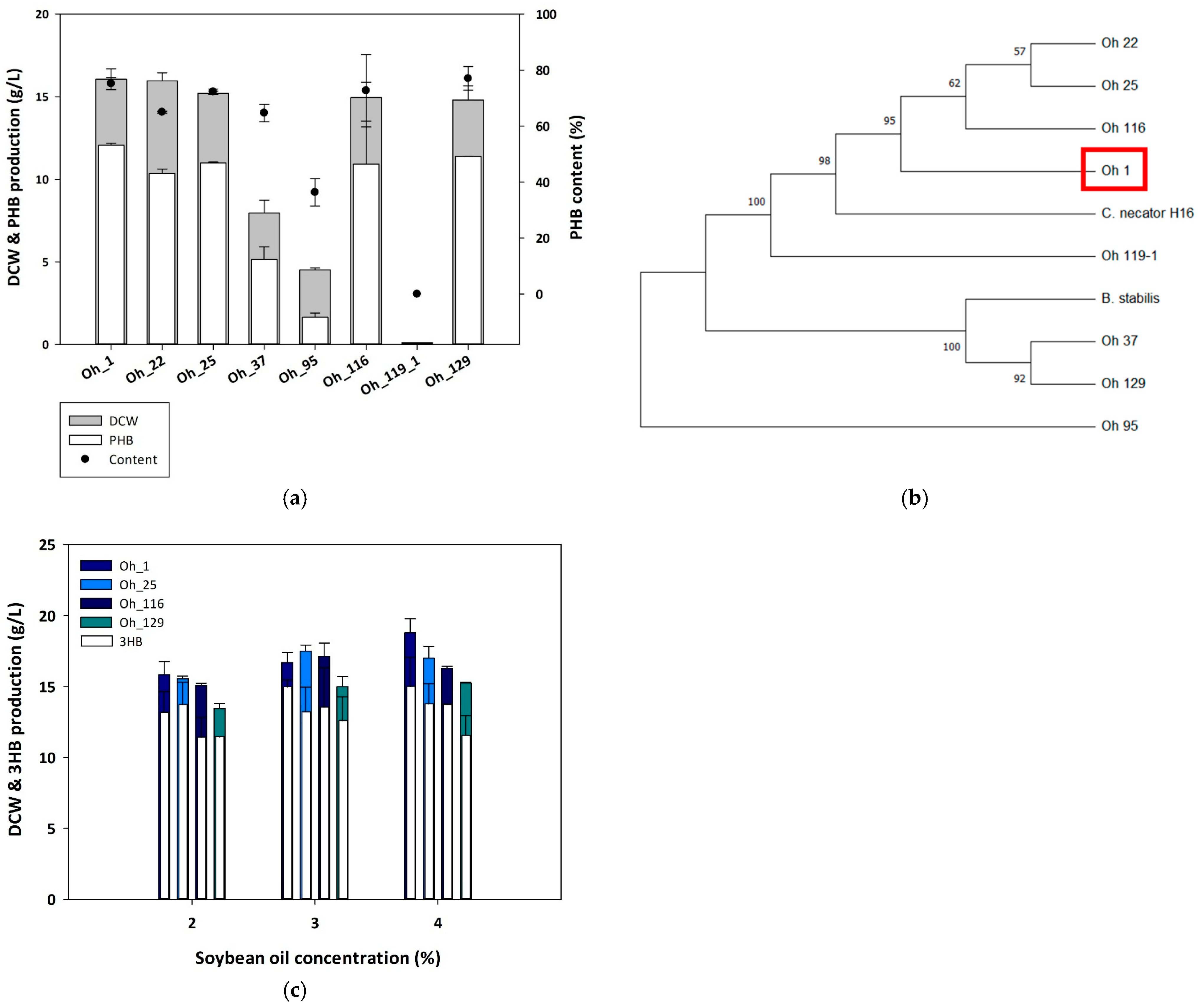 Polymers 17 01824 g001