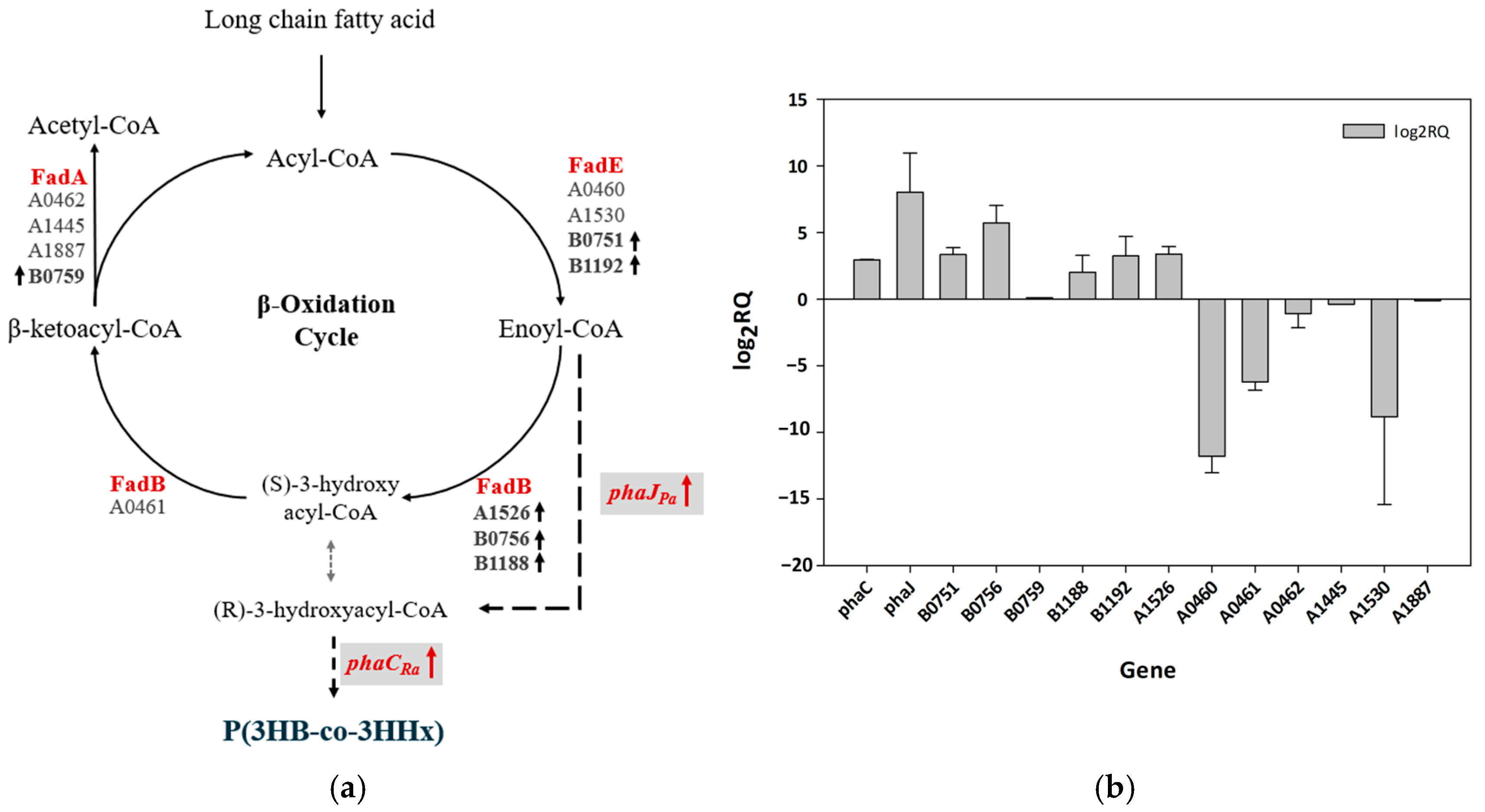 Polymers 17 01824 g006