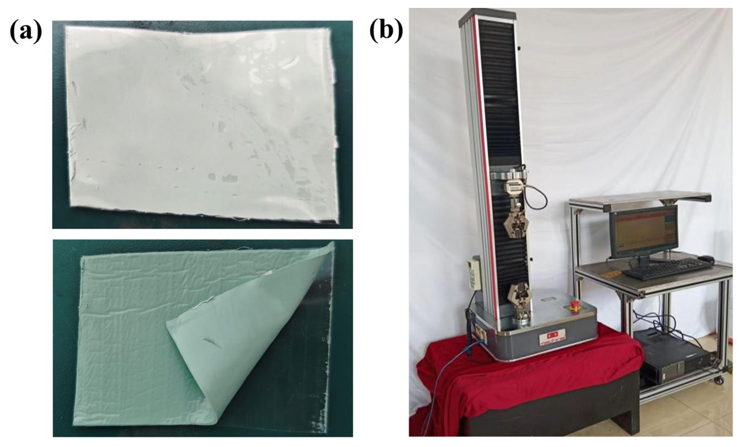 Polymers 17 01827 g004
