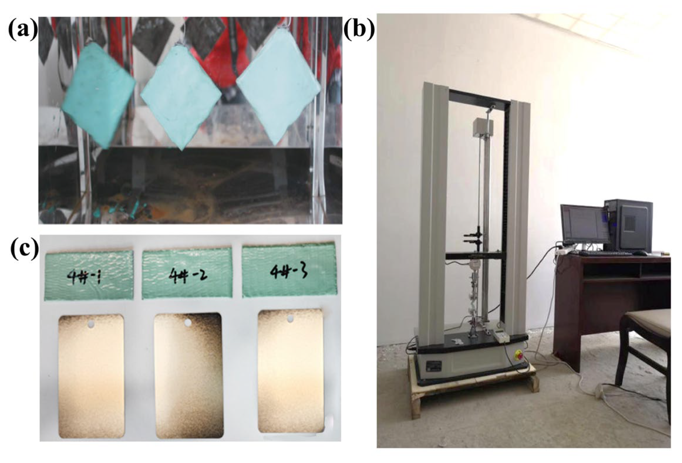 Polymers 17 01827 g005