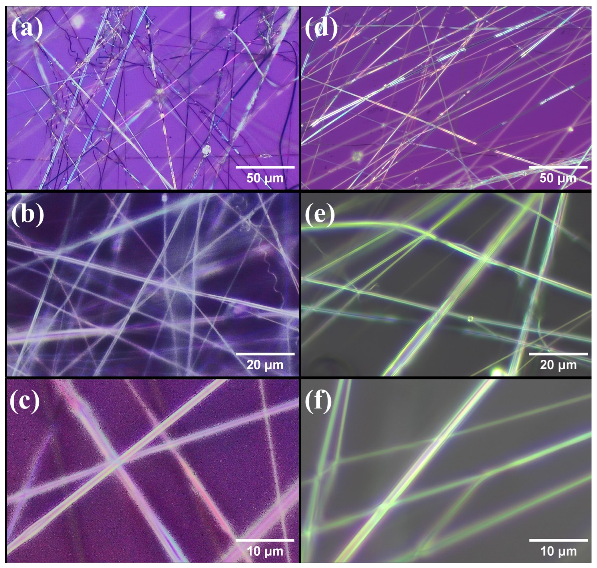 Polymers 17 01839 g008