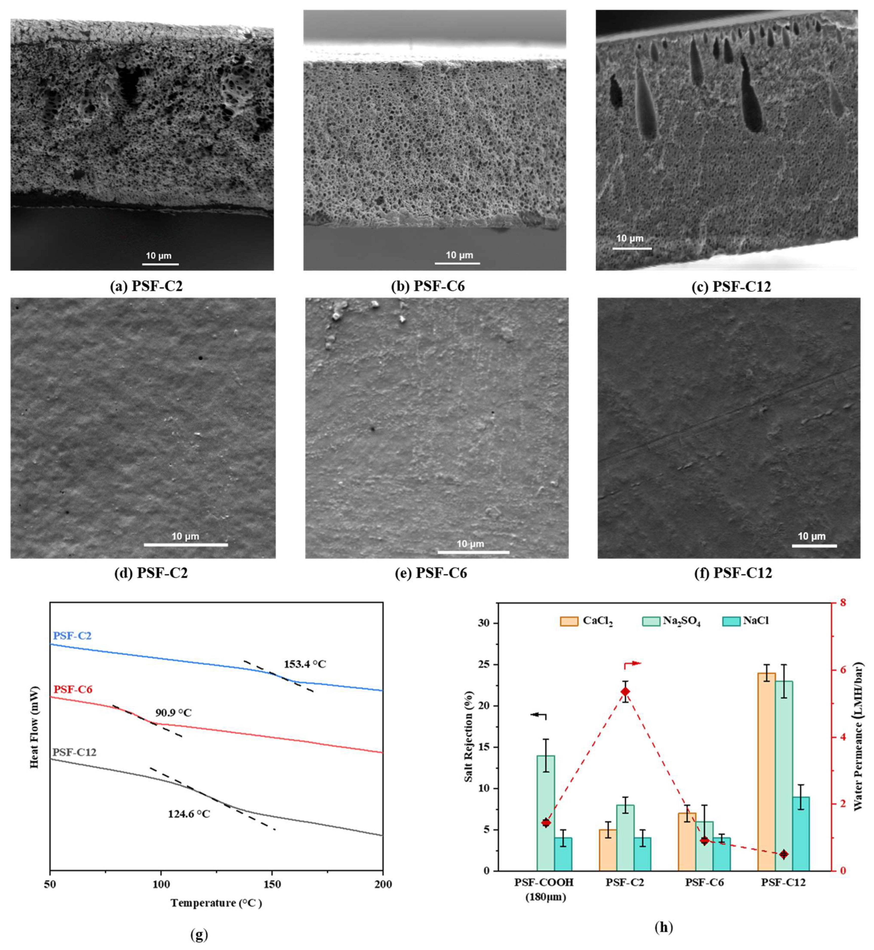 Polymers 17 01840 g010