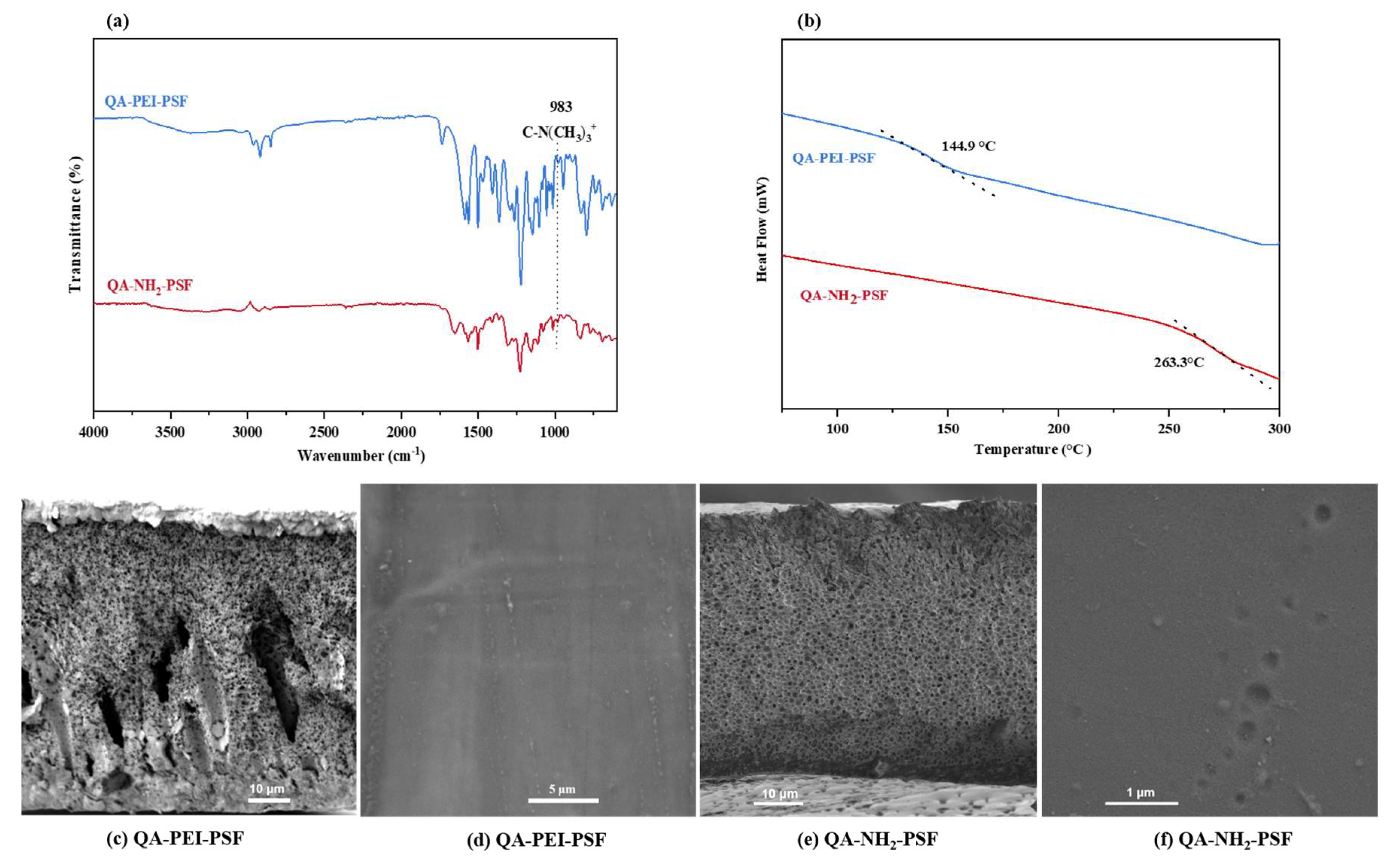 Polymers 17 01840 g011