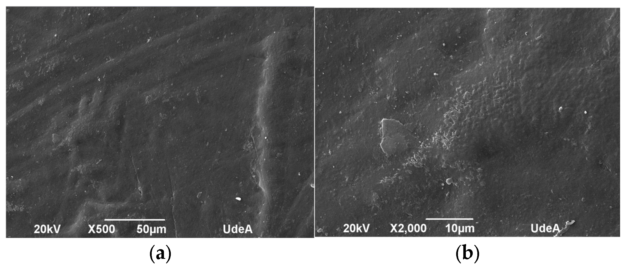 Polymers 17 01842 g013a