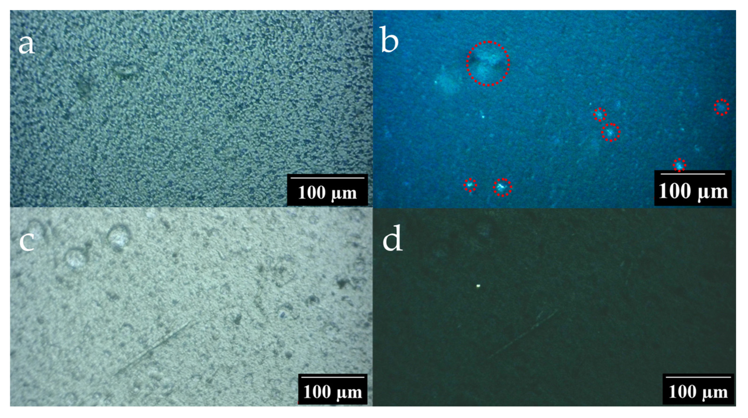 Polymers 17 01845 g011