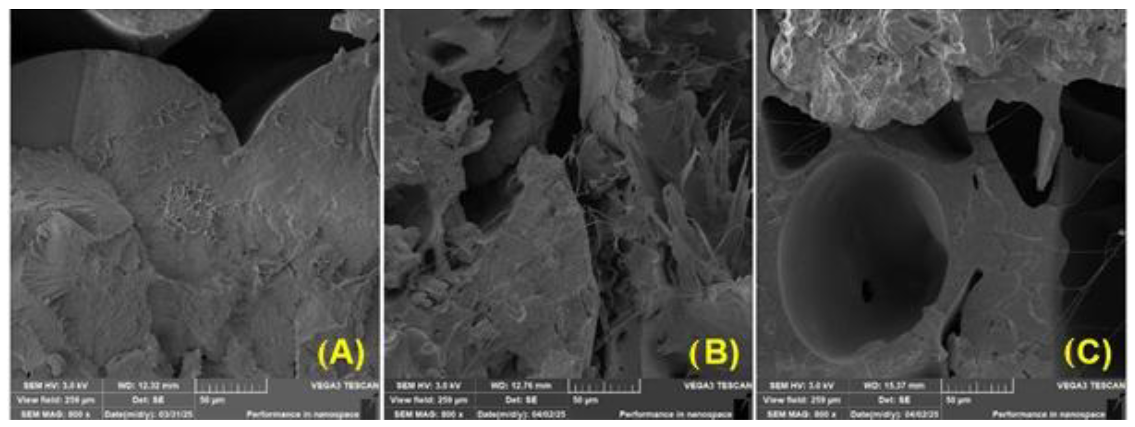 Polymers 17 01862 g015